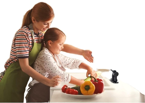 Tubina de cozinha preta fosca com pulverizador e design de latão de estilo contemporâneo