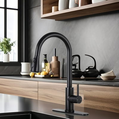 Tubina de cozinha preta fosca com pulverizador e design de latão de estilo contemporâneo