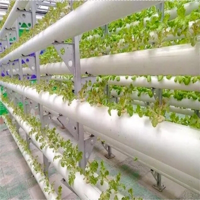 Tubos de PVC redondo de espessura padrão Sistema NFT hidropônico para cultivo de jardim