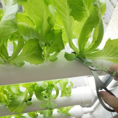 Tubos de PVC redondo de espessura padrão Sistema NFT hidropônico para cultivo de jardim
